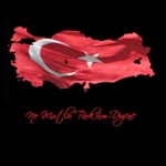 Haydar