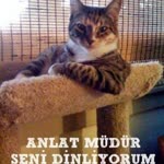 Atakan