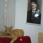 Saadet