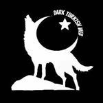 Dark