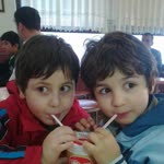 Şahin