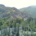 Olgun