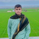 Fevzi