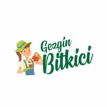 Gezgin