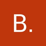 Bilgin