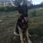 Özlem