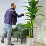 Erhan