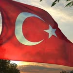 Aysel