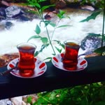 Tuğba