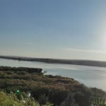 Duygu