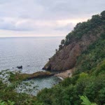 Erdi
