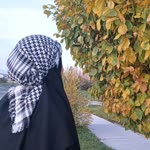 Havva