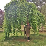 Zehra