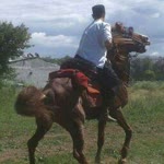 Muhammed