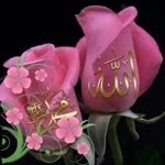 Elif
