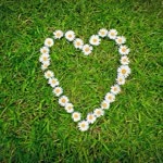 Nur