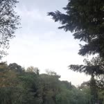 Bülent