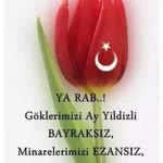 Aynur