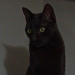 Burak