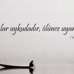 Olcay