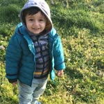 Bahadir