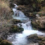 Erol