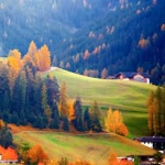 Kübrali