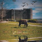 Ersin