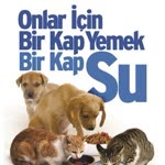 Kitap