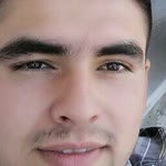 Şahin