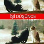 Ersin