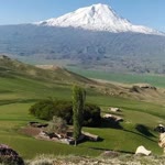 Rıza