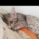 Esma