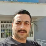 H.murat