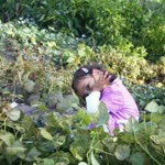 Ayhan