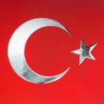 Ergin