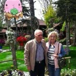Umut