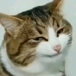 Aziz
