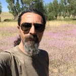 Ersin