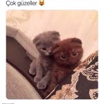 Sevda