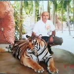 Metin
