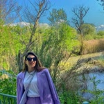 Buse