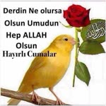 Dilek