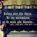 Harun