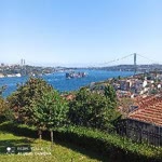 Davut