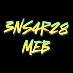 Ensar