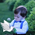 Profil fotoğrafı