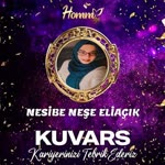 Neşe