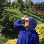 Dilruba