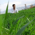 Nurullah